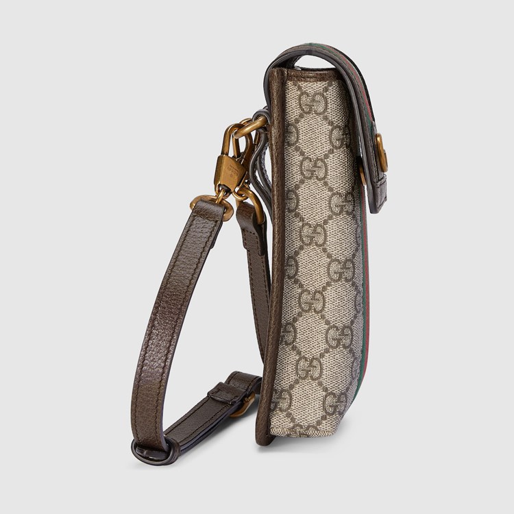 746307.96IWT.8745.010.100.0000.Light Ophidia GG mini bag